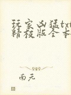 玩家凶猛txt精校版全本下载