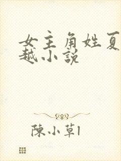 女主角姓夏的穿越小说