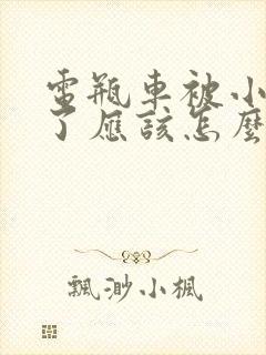 电瓶车被小车撞了应该怎么赔偿