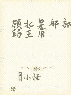 顾北是哪部小说的主角