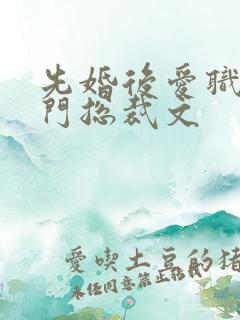 先婚后爱职场豪门总裁文
