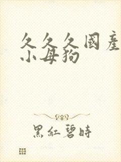 久久久国产调教小母狗