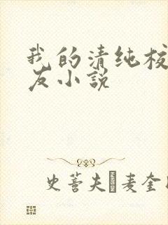 我的清纯校花女友小说