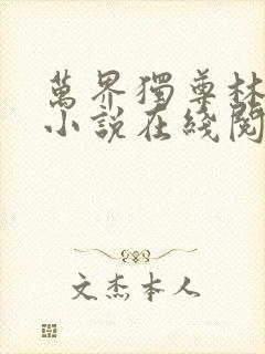 万界独尊林枫林小说在线阅读