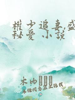 权少追妻,盛婚秘爱 小说