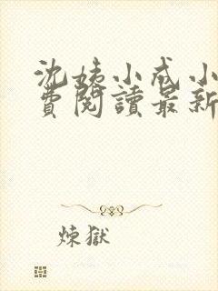 沈姨小成小说免费阅读最新章节更新