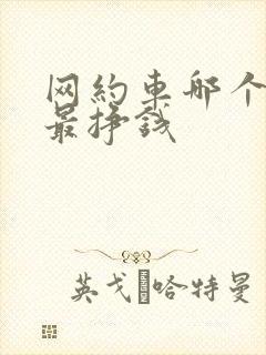 网约车哪个平台最挣钱