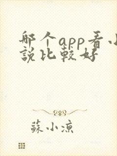 哪个app看小说比较好