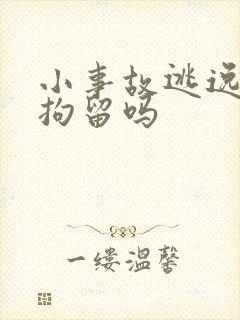 小事故逃逸会被拘留吗