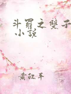 斗罗之双子斗罗 小说