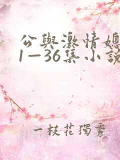 公与激情媳系列1—36集小说