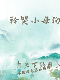 干哭小母狗