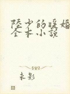 陆少的暖婚新妻全本小说