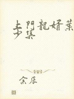 上门龙婿叶辰多少集