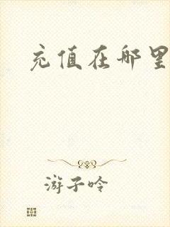 充值在哪里充值