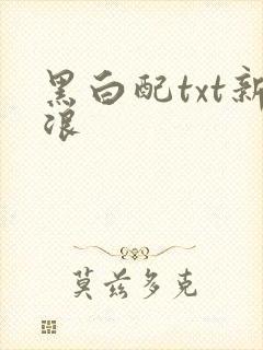 黑白配txt新浪