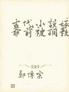 古代小说嫁给王爷前被调教