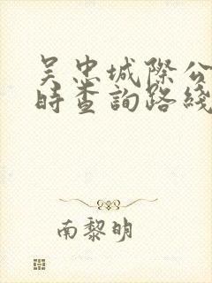 吴忠城际公交实时查询路线 吴忠城际公交实时查询路线