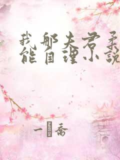 我那夫君柔弱不能自理小说免费阅读