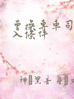 曹操专车司机加入条件