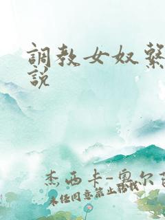 调教女奴系统小说