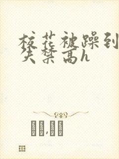 校花被躁到高潮失禁高h