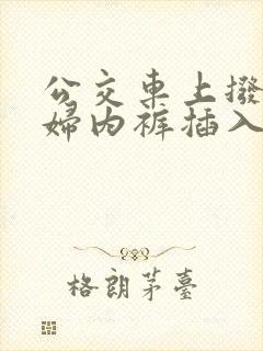 公交车上拨开少妇内裤插入