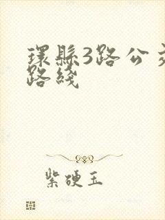 环县3路公交车路线