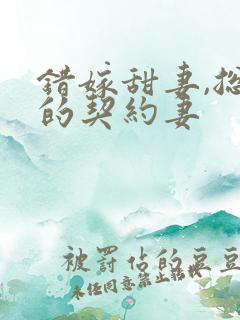 错嫁甜妻,总裁的契约妻 错嫁甜妻,总裁的契约妻