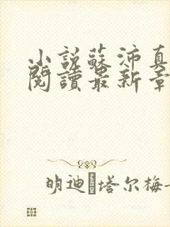 小说苏沛真全文阅读最新章节更新时间