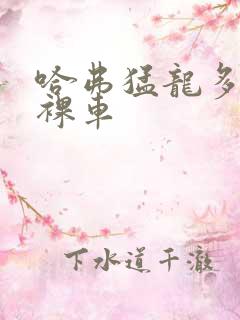 哈弗猛龙多少钱裸车