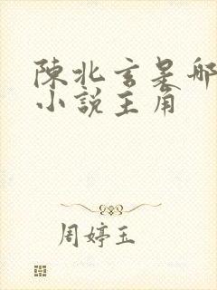 陈北玄是哪一部小说主角