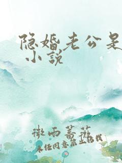 隐婚老公是大佬 小说