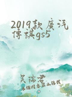 2019款广汽传祺gs5 2019款广汽传祺gs5
