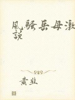 风骚岳母激情小说 风骚岳母激情小说