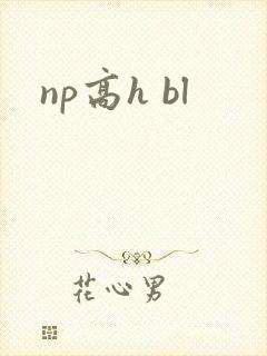 np高h bl
