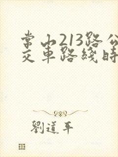 常山213路公交车路线时间表