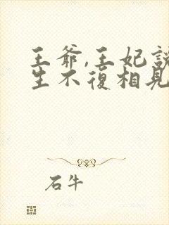 王爷,王妃说此生不复相见