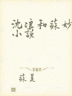 沈浪和苏妙涵的小说
