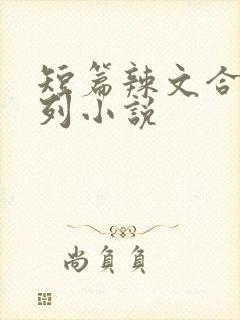 短篇辣文合集系列小说 短篇辣文合集系列小说