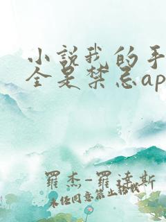 小说我的手机上全是禁忌app