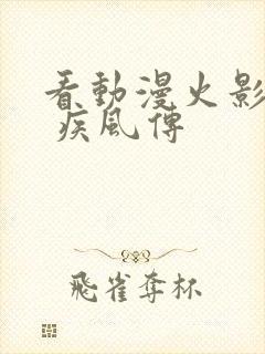 看动漫火影忍者 疾风传