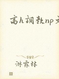 高h调教np文
