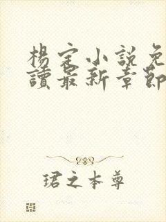 杨定小说免费阅读最新章节更新时间