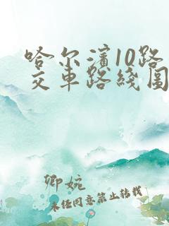 哈尔滨10路公交车路线图