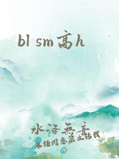 bl sm高h