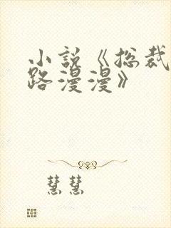 小说《总裁追妻路漫漫》