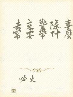 去交警队事故科需要带什么