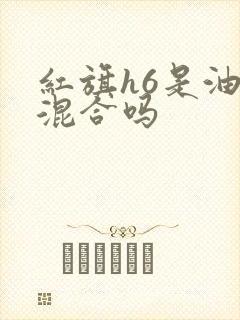 红旗h6是油电混合吗