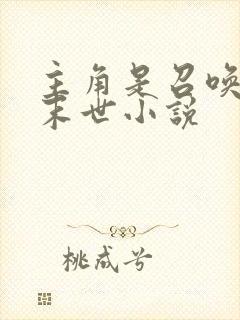 主角是召唤师的末世小说